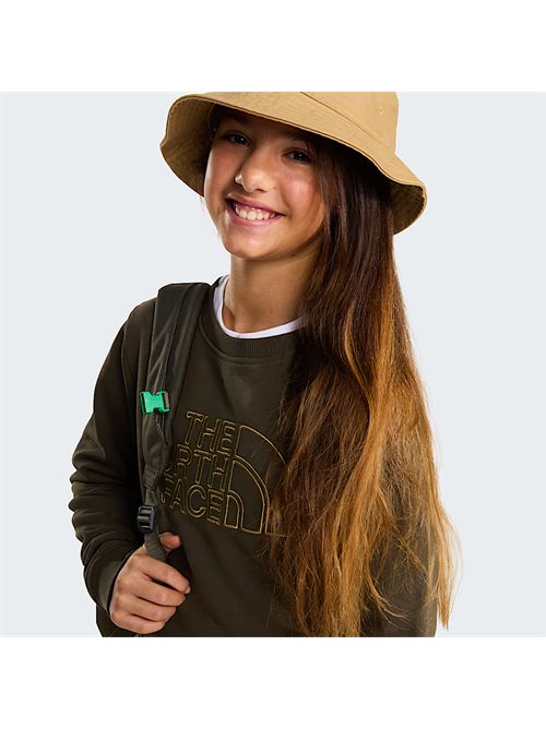 Felpa Drew Peak da ragazzi THE NORTH FACE | NF0A8AXX21L1